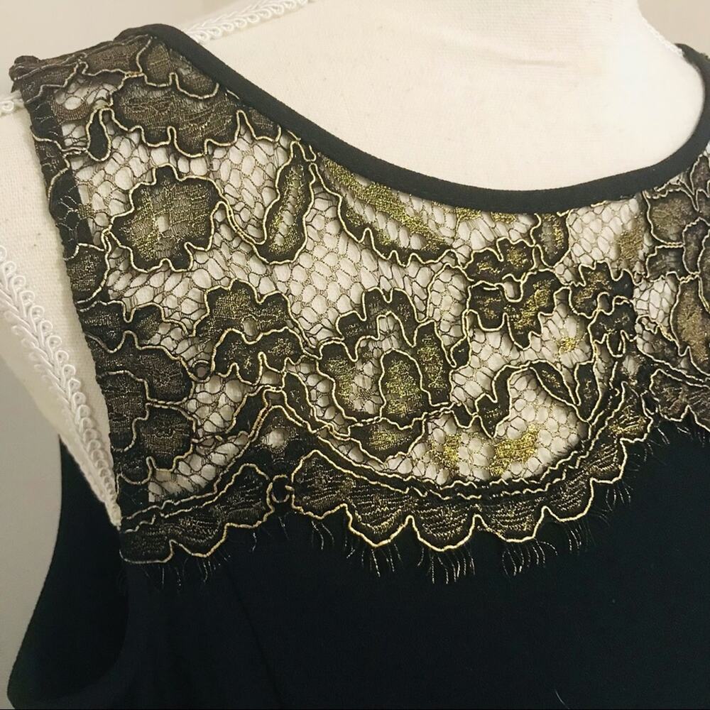 Loft Gold Lace Yoke Dress View 3
